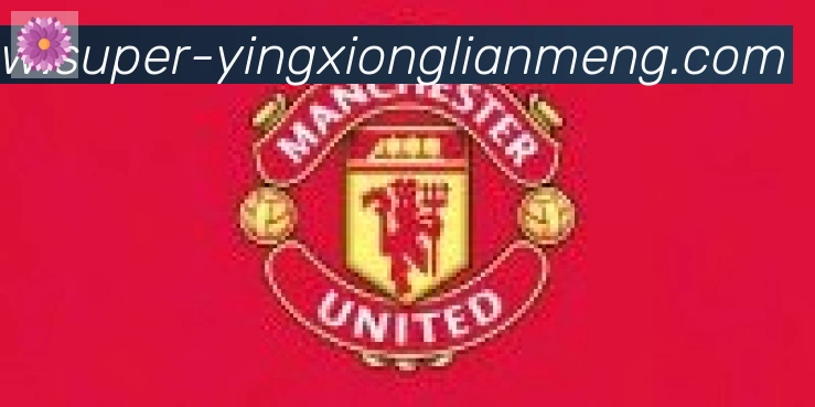 英雄联盟比分合作伙伴
